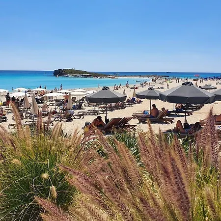 Narcissos Nissi D9 *