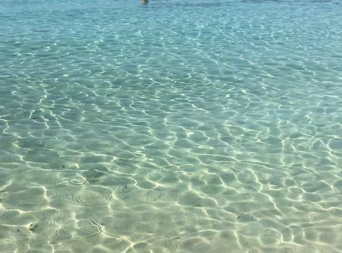 Apartamento Narcissos Nissi D9 Agia Napa