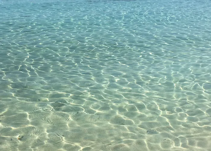 Narcissos Nissi D9 * Ayia Napa