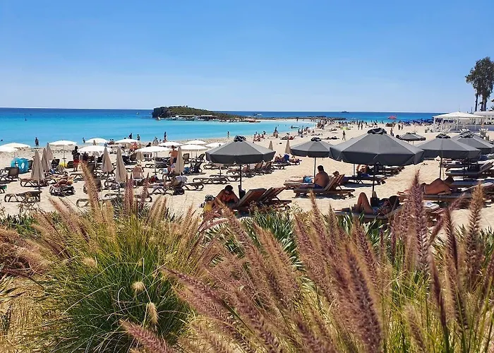 Narcissos Nissi D9 *